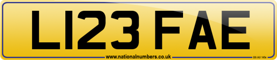 L123 FAE