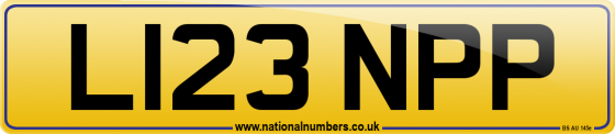 L123 NPP
