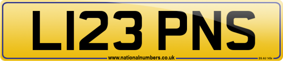 L123 PNS