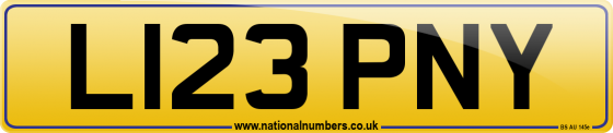 L123 PNY
