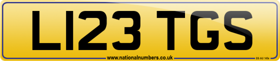 L123 TGS