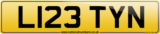 L123 TYN