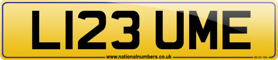 L123 UME