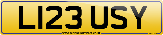 L123 USY