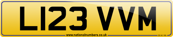 L123 VVM