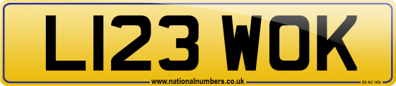 L123 WOK