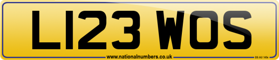 L123 WOS