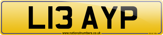 L13 AYP