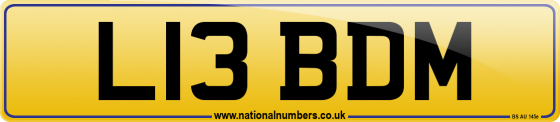 L13 BDM