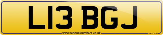 L13 BGJ