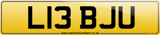 L13 BJU