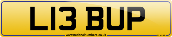 L13 BUP