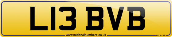 L13 BVB