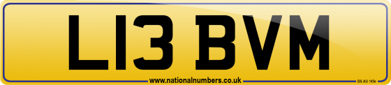 L13 BVM