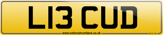 L13 CUD