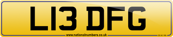 L13 DFG