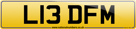 L13 DFM