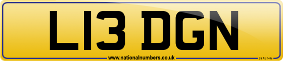 L13 DGN