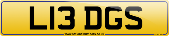 L13 DGS