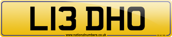 L13 DHO