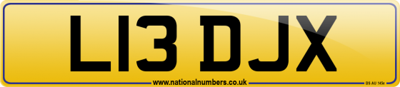 L13 DJX