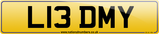 L13 DMY
