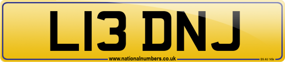 L13 DNJ