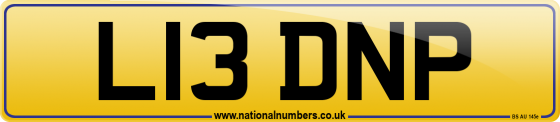 L13 DNP