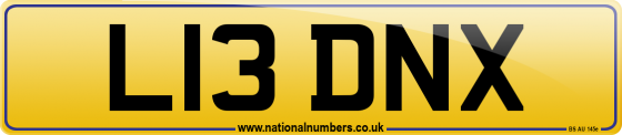 L13 DNX