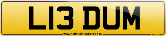 L13 DUM