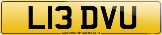 L13 DVU