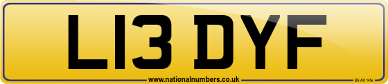 L13 DYF