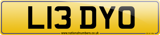 L13 DYO