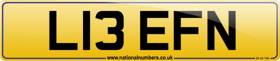 L13 EFN