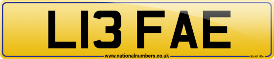 L13 FAE