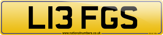 L13 FGS