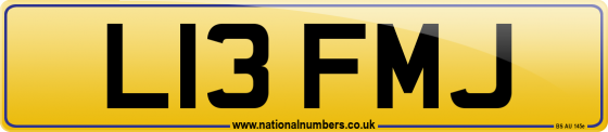 L13 FMJ
