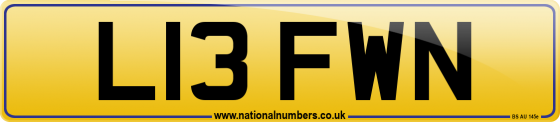 L13 FWN