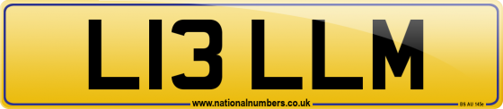 L13 LLM