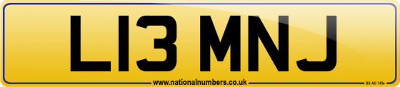 L13 MNJ