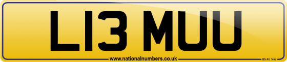 L13 MUU