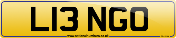 L13 NGO