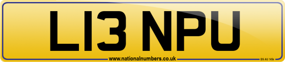 L13 NPU