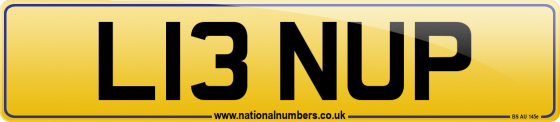 L13 NUP