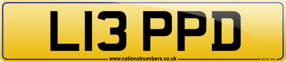 L13 PPD