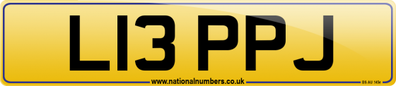 L13 PPJ