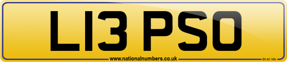 L13 PSO