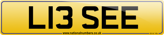 L13 SEE