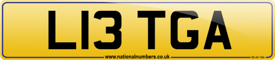 L13 TGA
