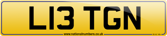 L13 TGN